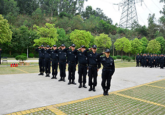 公司实力
