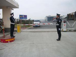 案例展示